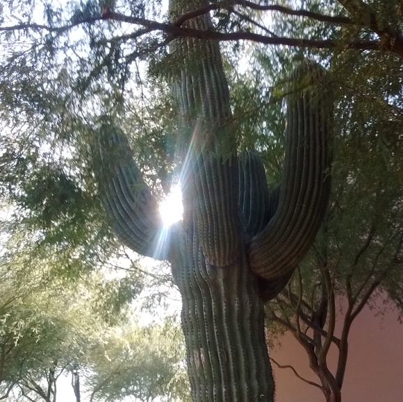 Meet your Posher, P.k. - Picture 1 of 1